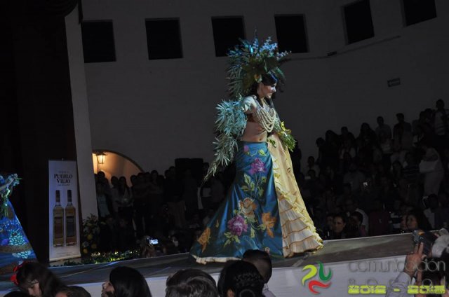 Traje Tipico (100)